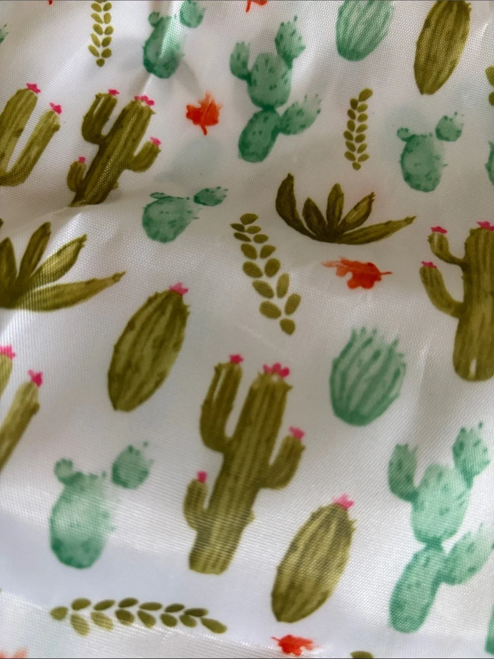 Desert Cactus Poly Canvas Large Tote Travel Bag Built in Case NWT 22x23”